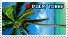 palmtrees1  width=